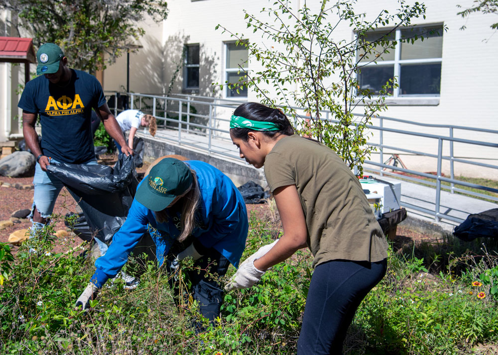 Iman Johnson, Dr. VOK, and Neomi Reyes work in the Peaceful Reflections Garden at Unviersity Campus